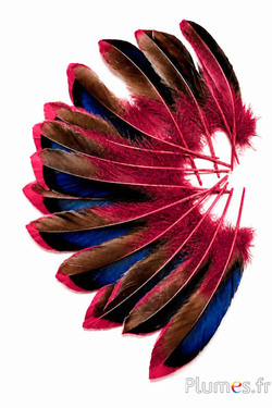 Eend - 8-10 cm - karmijn